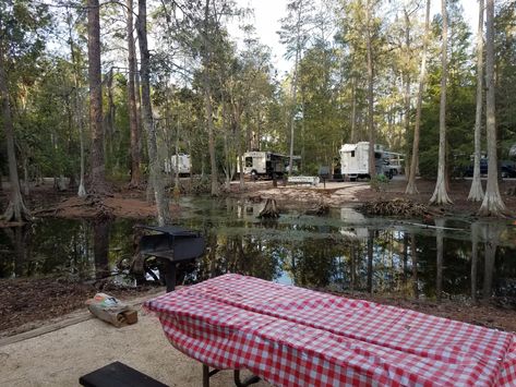 THE CAMPSITES AT DISNEY'S FORT WILDERNESS RESORT - Updated 2020 Prices & Campground Reviews (Orlando, FL) - Tripadvisor Disney Fort Wilderness Resort, Fort Wilderness Disney, Disney Camping, Wilderness Resort, Fort Wilderness, Tent Site, Hotel Website, Orlando Resorts, Orlando Fl