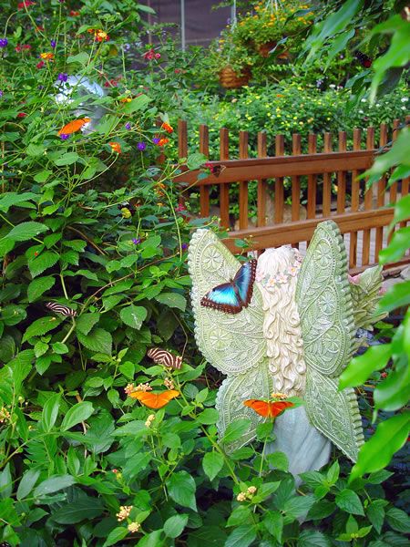 Indoor Butterfly Garden, Butterfly Garden Ideas, Deerfield Massachusetts, Butterfly Museum, Butterfly Conservatory, Butterfly Place, Butterfly Farm, Magic Wings, Butterfly Gardens