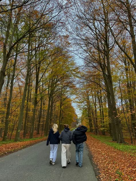 Fall Walks Aesthetic, Fall Walk Aesthetic, Fall Road Aesthetic, Autumn With Friends, Autumn Aesthetic Gilmore, Aesthetic Background Green, Pumpkins Aesthetic, September Vibes, October Pumpkins