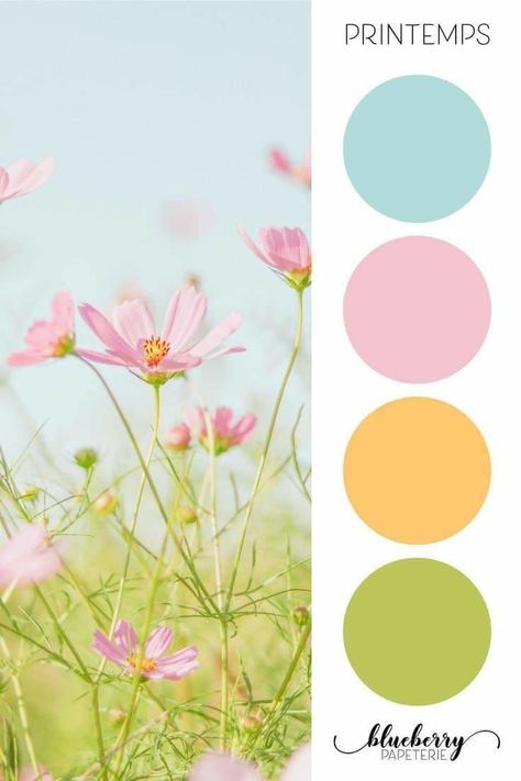 Green Blue Purple Color Scheme, Sarah Renae Clark Color Palettes, Paleta Candy Colors, Pink Green Colour Palette, Yellow Palette Colour Schemes, Color Palettes Aesthetic, Sunshine Color Palette, Green Colour Combo, Easter Color Palette