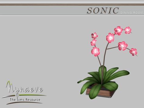 Sonic Dining Room - Orchid  Found in TSR Category 'Sims 4 Plants' Plants Sims 4, Sims 4 Cc Mermaid, Clutter Sims 4 Cc, Sims 4 Garden, Asian Style Home, Ts4 Clutter, Asian Plants, Chinese Plants, Magical Fairies