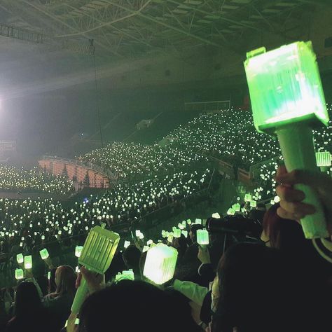 Nctzen Aesthetic, Animated Portrait, Nct Lightstick, Nct Concert, Bujo Themes, Nct Members, Kpop Beauty, Green Ocean, Concert Aesthetic