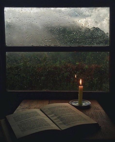 Paradis Sombre, Green Academia, Dark Naturalism, Dark Acadamia, Wal Art, Rain Wallpapers, An Open Book, Hogwarts Aesthetic, Slytherin Aesthetic