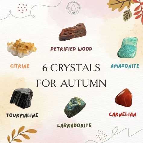 Fall is finally here! If you are just as excited as I am, then you need to check out these crystals! How much a crystal offers you is dependent on you, the crystal, and the relationship between you both. While crystals can offer you healing at any time of the year for whatever you may need at that moment, here are some crystals to help guide you through this autumn season as we transition into winter! Mind Healing, Autumn Season, Petrified Wood, Heart And Mind, Crystal Collection, Black Tourmaline, Changing Seasons, Time Of The Year, Take Care Of Yourself