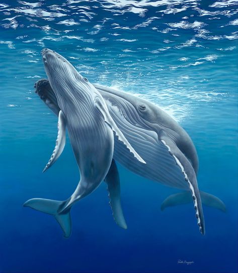 KANYINI (Aboriginal word for nurture)  (2015)  Subject: Humpback Whale Mum & Calf  Dimensions: 138 x 120cm  Medium: Pastel Whale Wallpapers, Whale Photos, Whale Wallpaper, Whale Pictures, Tattoo Nature, Whale Painting, Sea Mammal, Whale Tattoos, Underwater Animals