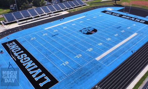 Livingstone College, Football Hall Of Fame, Livingstone, Blue Football, Football Field, Wide Receiver, Livingston, Carolina Panthers, National Football League