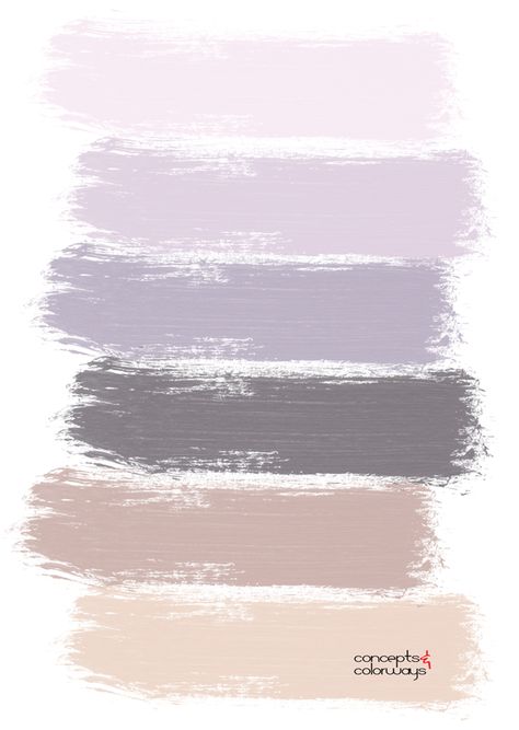 Pink Purple Paint, Office Revamp, Pilates Room, Lavender Color Palette, Grey Theme, Home Paint Color, Purple Palette, Purple Color Palettes, Flowers Images