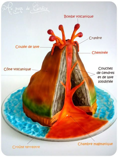 Here is an edible model of volcano that I made for my students (10-11 years). I questioned them about the parts of a volcano, then when they found all the answers, they were allowed to eat this strange volcano! Oddly, they soon found all the... Volcano Science Fair Project, Science Class Decorations, Science Club Activities, Geology Cake, Parts Of A Volcano, Volcano Science Projects, Volcano Model, Volcano Project, Volcano Projects