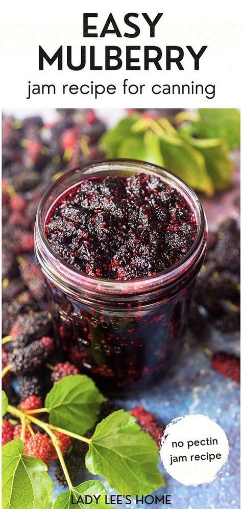 Mulberry Jam Recipe, Mulberry Jam, Mulberry Recipes, Canning Jam Recipes, Orange Jam, Mango Jam, Home Canning Recipes, Jam Recipes Homemade, Canning Jam