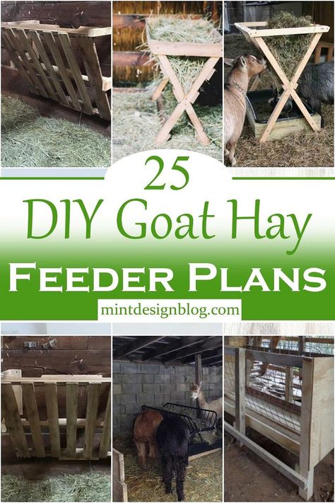 Diy Goat Hay Feeder, Living Room Decor Coastal, Cow Feeder, Diy Hay Feeder, Living Room Wall Shelves, Room Wall Shelves, Sheep Feeders, Farmhouse Decor Inspiration, Goat Milking Stand