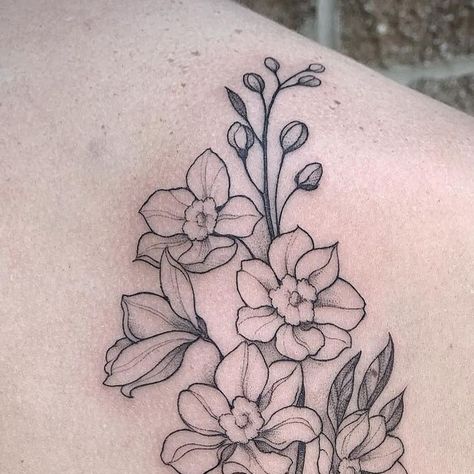 The Rose and Thorn on Instagram: "Larkspur on the shoulder blade #theroseandthornclt #charlottenc #noda #nodatattoo #tattoo #larkspurtattoo #floraltattoo #blackandgreytattoo #lineworktattoo" Larkspur Tattoo, July Birth Flower, Water Lilly, Line Work Tattoo, Birth Flower, Birth Flowers, Black And Grey Tattoos, The Rose, Tattoos