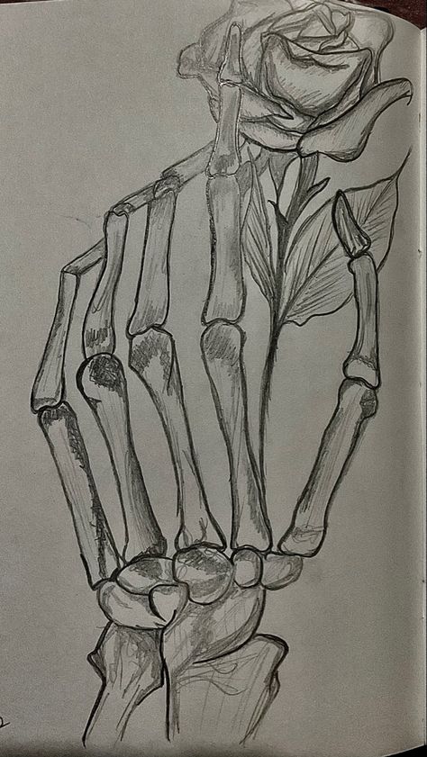 Hand Art Drawing Sketches, Skeleton Head Drawing, Skeleton Hand Art, Skeleton Art Drawing, Skeleton Hands Drawing, Easy Halloween Drawings, Medical Drawings, Cats Art Drawing, Skeleton Drawings