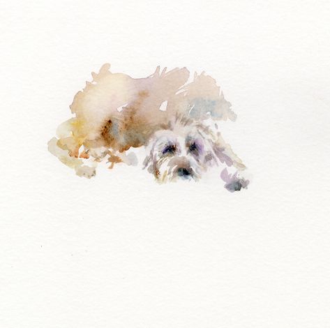 Secret Valentine, Stay Awake, 강아지 그림, Water Colours, Watercolour Inspiration, Watercolor Dog, Wow Art, Dog Illustration, Watercolor Inspiration