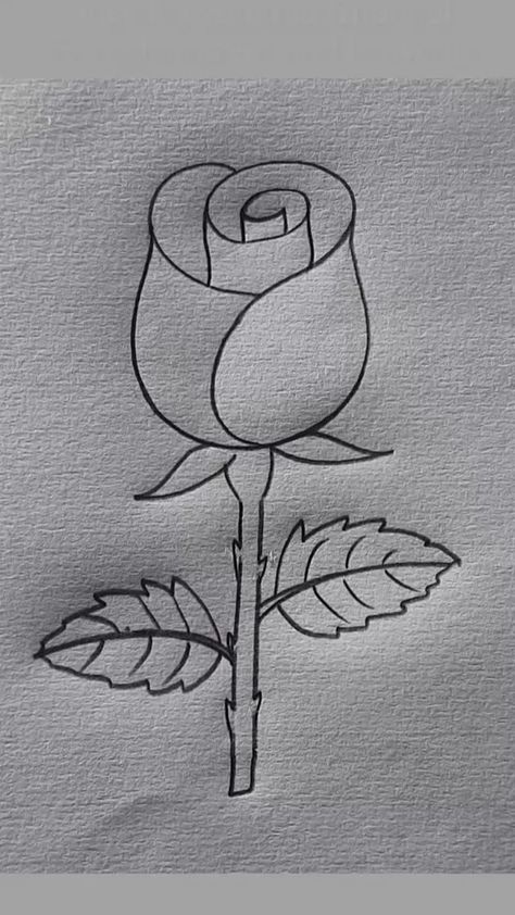 Atier Amin | Rose🌷🌷🌷 Drawing #technique #creative #art | Instagram Reels Videos Instagram, Rose Flower Drawing, Rose Drawing Simple, فنسنت فان جوخ, Cute Flower Drawing, Art Reels, Easy Disney Drawings, Flower Pattern Drawing, Pencil Drawings For Beginners