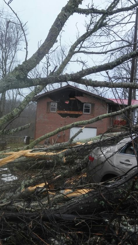 This damage from the tornado/high winds that came thru baxter on 3/1/17 Isaiah 29, Tornado Damage, Earth Surface, Natural Disasters, Advertising Design, Tornado, Design Project, Art Inspo, Trees