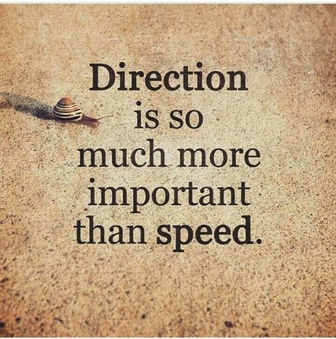 TOP DIRECTION quotes and sayings by famous authors like Sayings : Direction is so much more important than speed. ~Sayings  #direction #speed #path #quotes | Quotlr Direction Quotes, Buddha Quotes Inspirational, Buddhist Quotes, Buddha Quote, Lesson Quotes, Life Lesson Quotes, Uplifting Quotes, On The Ground, Quotable Quotes