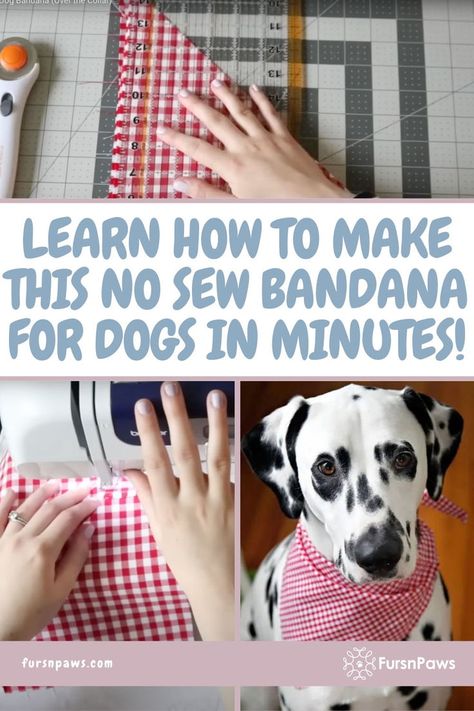 Dog Bandana Tutorial How To Make A Dog Bandana, Diy Dog Bandana No Sew, No Sew Dog Bandana, Sew A Bandana, Pet Bandana Pattern, Sew Bandana, Diy Dog Bandana, Sew Techniques, Dog Bandana Tutorial