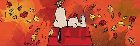 Fall Facebook Cover Photos, Thanksgiving Facebook Covers, Funny Facebook Cover, Fall Facebook Cover, Snoopy Fall, Facebook Cover Photos Quotes, Snoopy Collection, Fall Images, Charlie Brown Snoopy