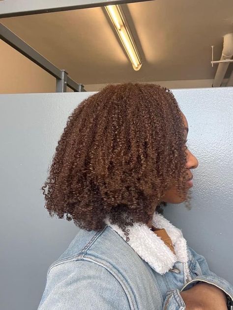 Type 4 Dyed Hair, Brown Type 4 Hair, Dye Hair Brown, Honey Brown 4c Hair, Brown Natural Hair, Afro Hair Color, Colors To Dye Your Hair, Type 4 Natural Hair, 4b Hair