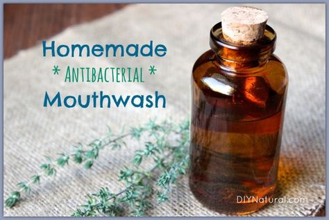 This homemade mouthwash is natural, delicious, and gentle, not harsh like the store bought stuff. It's easy to make and costs 250% less than commercial brands. Diy Mouthwash, Homemade Mouthwash, Natural Mouthwash, Small Mason Jars, Naturopathic Doctor, Tea Tree Essential Oil, Natural Diy, Diy Health, It Goes On