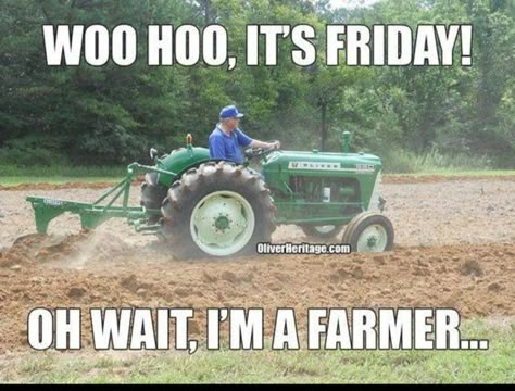 Farmer Quotes Funny, Farm Life Quotes, Farmer Quotes, Farm Jokes, Farm Quotes, Farm Humor, Farming Life, Country Girl Life, Country Jokes