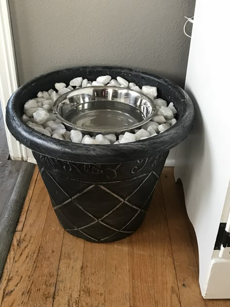 Raised water dish! Cat Supplies List, Dog Yard, Dog Rooms, Dog Hacks, Pet Ideas, Dog Ideas, Dog Runs, Dog Bowl, Water Bowl