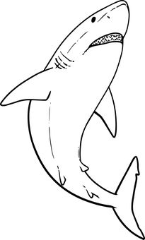 Download free HD stock image of Shark Animal Great White Shark Drawing, Animal Outline, Shark Drawing, Animal Doodles, Shark Week, Outline Drawings, Great White Shark, Great White, Learn To Draw