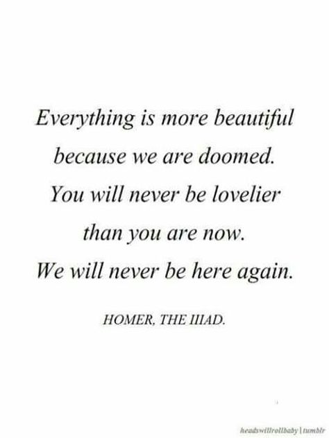 Everything is more beautiful because we are doomed. You will never be lovelier than you are now. Will never be here again.  Homer Literature Quotes, Literary Quotes, Poem Quotes, Green Gables, A Quote, Poetry Quotes, Pretty Words, Beautiful Quotes, Great Quotes