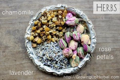 How to make an herbal dream pillow and help your child sleep better. Guerneville California, Dream Herbs, Natural Medicines, Natural Medicine Cabinet, Child Sleep, Children Health, Are Essential Oils Safe, Aromatherapy Essential Oils, Russian River