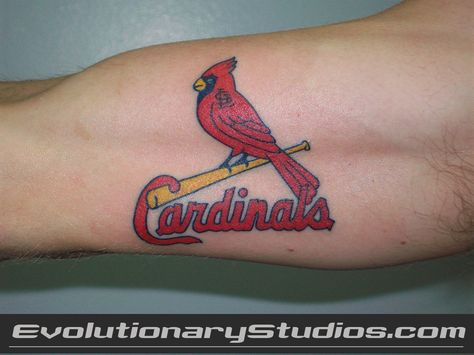 St. Louis Cardinals tattoo St Louis Cardinals Tattoo Ideas, St Louis Cardinals Tattoo, St Louis Tattoo, Cardinals Tattoo, Cardinal Tattoo Ideas, I Need More Tattoos, Stl Cardinals Baseball, Baseball Tattoos, Cardinal Tattoo