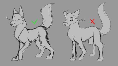 Wolf Anatomy, Cat Drawing Tutorial, Cat Anatomy, Anatomy Tutorial, Wolf Drawing, Art Tools Drawing, Animal Sketches, Art Tutorials Drawing, Httyd