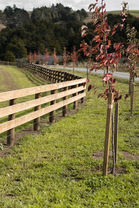 Fence Along Road, Rural Fencing Ideas, Post And Rail Fencing, Farm Fence Ideas, Rural Fencing, Ranch Entrance Ideas, Driveway Fence, Modern Coastal Farmhouse, Post And Rail Fence