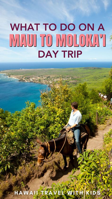 This guide takes you through the best activities and sights Moloka'i has to offer, from breathtaking hikes and historical landmarks to encounters with local wildlife and pristine beaches. Discover the island's unspoiled nature and warm hospitality, making your day trip an enriching experience. Ideal for those seeking adventure and cultural immersion, this guide is your ticket to exploring the real Hawaii away from the crowds. Molokai Hawaii, Trip To Maui, Trip To Hawaii, Things To Do With Kids, Historical Landmarks, Family Trip, Hawaii Travel, Planning A Trip, Travel With Kids