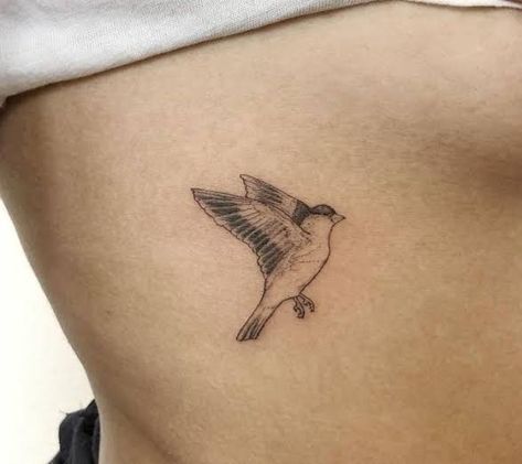 Small Finch Tattoo, Goldfinch Tattoo Black And White, Artic Tern Tattoo, European Goldfinch Tattoo, Golden Finch Tattoo, Nuthatch Bird Tattoo, The Goldfinch Tattoo, American Goldfinch Tattoo, House Finch Tattoo