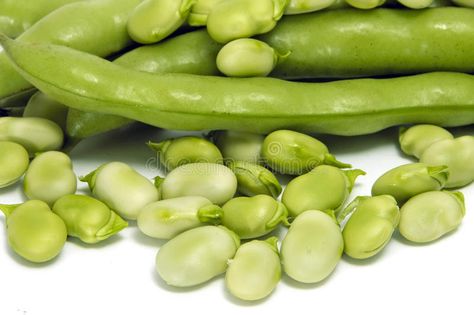 Broad bean. Close up of some broad beans and some broad bean pods #Sponsored , #AD, #Affiliate, #bean, #pods, #beans, #Broad Plant Png, Bean Pods, Broad Beans, Bean Plant, Broad Bean, Cucumber, Photo Image, Stock Photos, The Creator