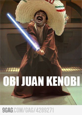 Obi Juan Kenobi. Jessica, is he in Star Wars? The Force Is Strong, Star Wars Humor, Star Wars Memes, Laughing So Hard, Bones Funny, Really Funny, I Laughed, Funny Jokes, Funny Pictures