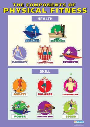 Components Of Fitness, Fitness Posters, Fitness Poster, Elementary Physical Education, Physical Education Lessons, Elementary Pe, Health And Physical Education, Physical Education Activities, Physical Education Games