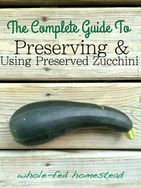 What To Do With Zucchini, Dill Pickle Sauce, Dehydrated Zucchini, Pickle Sauce, Preserving Vegetables, Canning Food Preservation, Canning Tips, Fruit Preserves, Salmon Patties