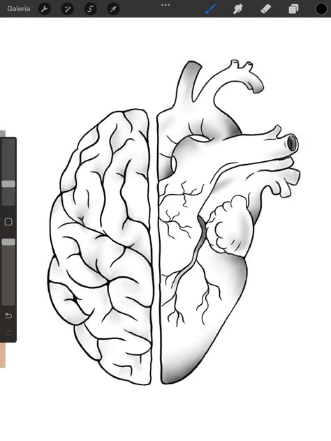 Half Heart Half Brain Drawing, Doctor Sketch Medical, Half Heart Drawing, Heart And Brain Drawing, Human Brain Sketch, Half Heart Half Brain Tattoo, How To Draw A Brain, Brain And Heart Drawing, Heart Cartoon Drawing