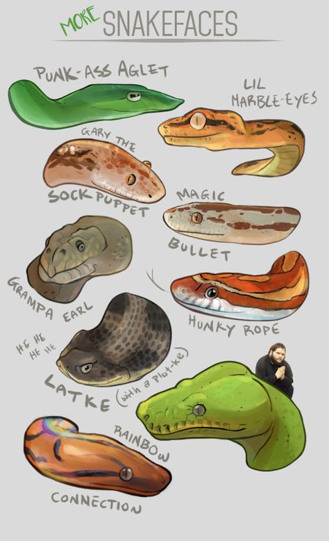 Sock Puppets Drawing, Hog Nose Snake Drawing, Snake Reference Drawing, Snek Drawing, Snake Face Drawing, Cute Snake Art, Snake Reference, Snake Drawings, Types Of Snakes