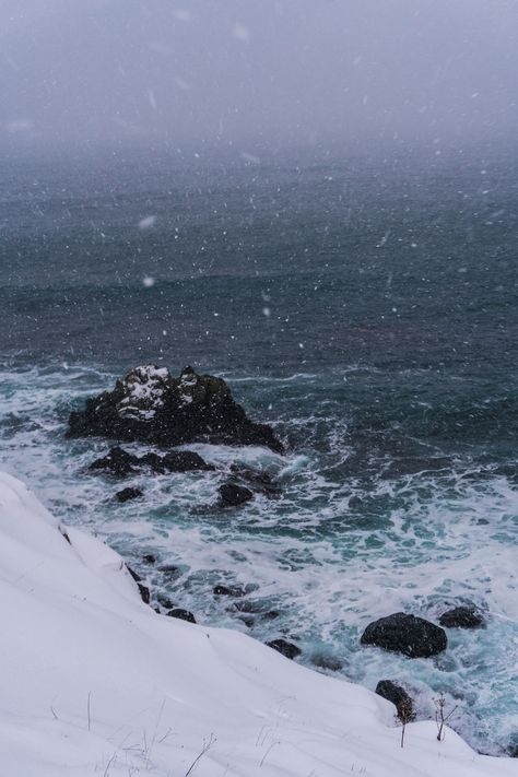 Blizzard Photography, Blizzard Aesthetic, Iceland In December, Snow Blizzard, Land Of Fire And Ice, Bleak Midwinter, Snow Night, Snow Forest, Landscape Concept