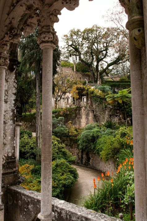 How to Get to Quinta da Regaleira Sintra: 7 Magical Things to See 6 Portugal Nature, Things To Do In Sintra Portugal, Regaleira Sintra, Monaco France, Sintra Portugal Photography, Quinta Da Regaleira, Sintra Castles Portugal, Pena Palace Portugal, Sintra Quinta Da Regaleira