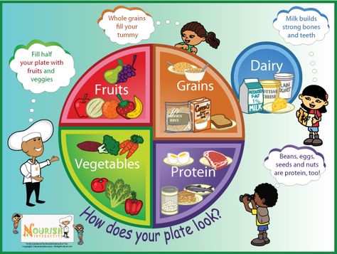 Food Groups For Kids, My Food Plate, Healthy Food Plate, Healthy Eating Posters, Balanced Diet Chart, Canada Food Guide, Five Food Groups, Healthy Plate, Groups Poster