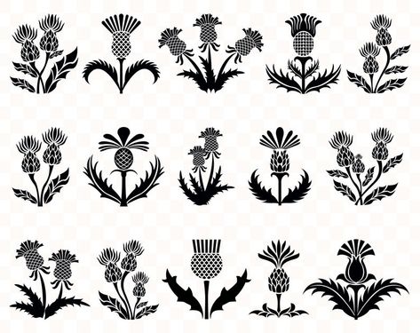 Thistle Tattoo, Flower Svg Files, Cow Svg, Royal Stewart Tartan, Scottish Highland Cow, Flower Silhouette, Stewart Tartan, Thistle Flower, Scottish Thistle