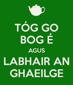 Celtic Sayings, Irish Gaelic Language, Irish Games, Irish Phrases, As Gaeilge, Gaelic Language, Lion Man, Celtic Ireland, Irish Words