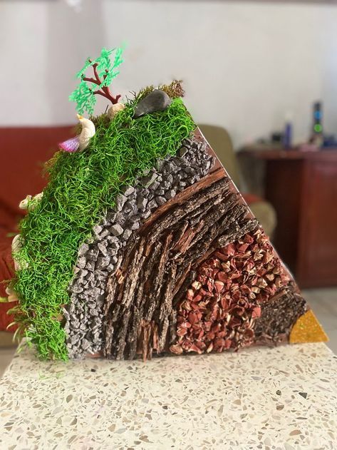 Earth Model Project Ideas, Social Science Projects Ideas, Science Exhibition Projects, School Science Projects, Biology Projects, Creative School Project Ideas, Science Crafts, School Creative, Science Projects For Kids