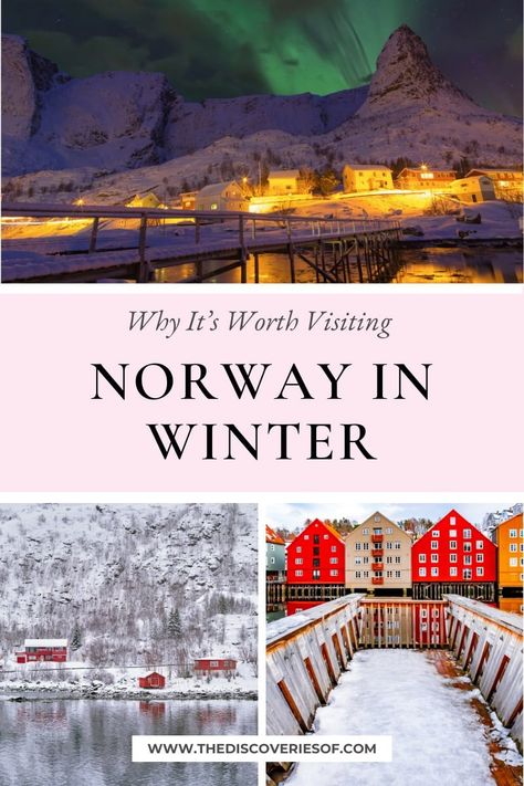 Norway in Winter: Why It’s Worth Visiting Norway Itinerary Winter, Norway Travel Winter, Oslo Norway Winter, Christmas In Norway, Northern Lights Hotel, Norway In Winter, Winter Norway, Norway Winter, Visit Norway