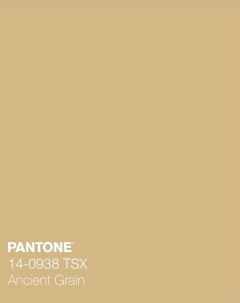 Light Gold Color Palette, Shades Of Gold Color, Gold Pantone Color, Quince Colors, Soft Autumn Colors, Bridal Asia, My Color Palette, Gold Shades, Gold Color Palettes