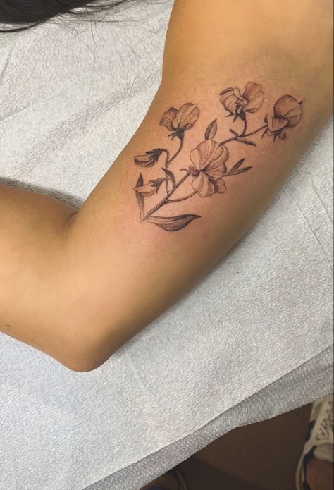 Minimalist sweet pea tattoo, line work, realistic flower tattoo, realistic sweet pea tattoo Pea Plant Tattoo, April Sweet Pea Tattoo, Gran Tattoo, Sweetpea Flower Tattoo, Sweat Pea Tattoo, Sweet Pea Flower Tattoo, Tattoo Line Work, Pea Tattoo, Sweet Pea Tattoo