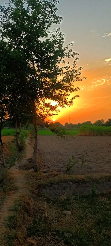 Stunning evening in village Sunset In Village Photography, Village Evening Photography, Village Pics In Pakistan, Punjab Village Photography, Village Photography Nature, Indian Village Aesthetic, Village Life Photography, Village Life Aesthetic, Evening Sunset Photography